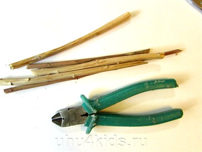 ������ ��� �����